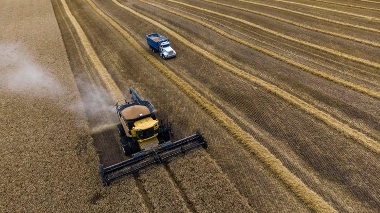 A field is shown from the air.