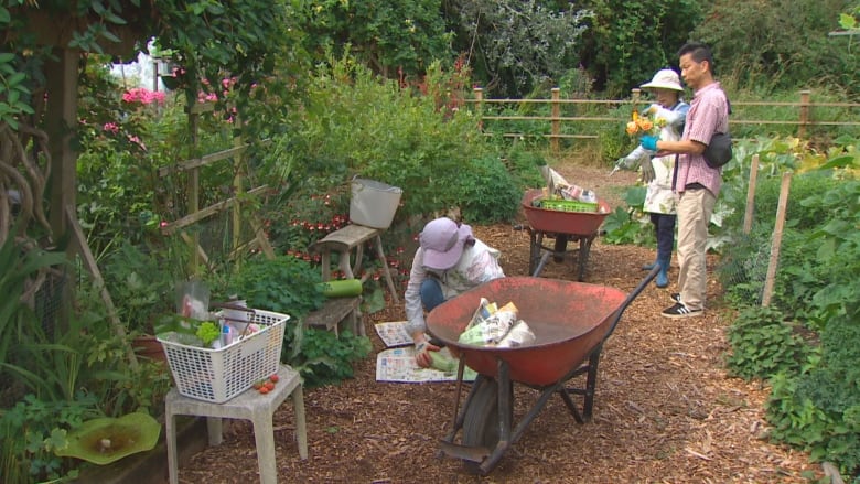 Three people are working in a garden surrounded by poles and fences with wheelbarrows and chairs, sitting on a cleared path in the middle. 