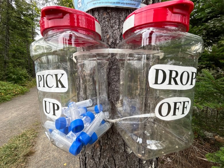 Two boxes mounted on a tree. Pickup box is full of small blue-capped vials and drop-off box is empty.