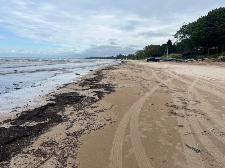 If both sides agree on one thing it's that the beach is a paradise that must be preserved.