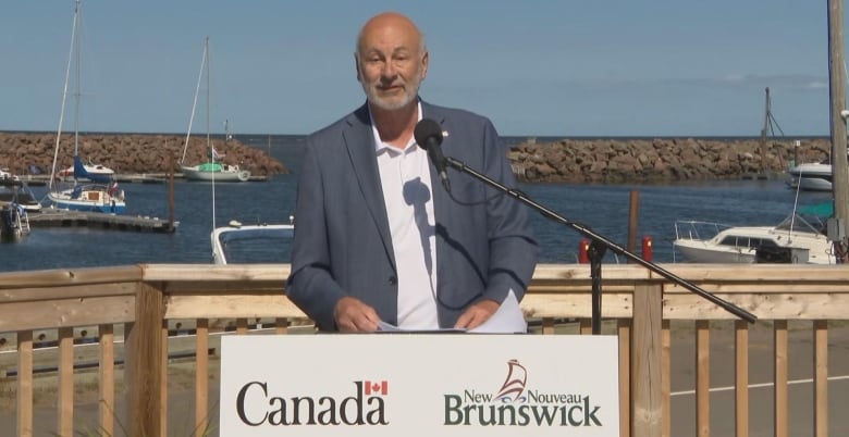 A bald man stands on a wjarf in front of the ocean with a microphone in front of him.