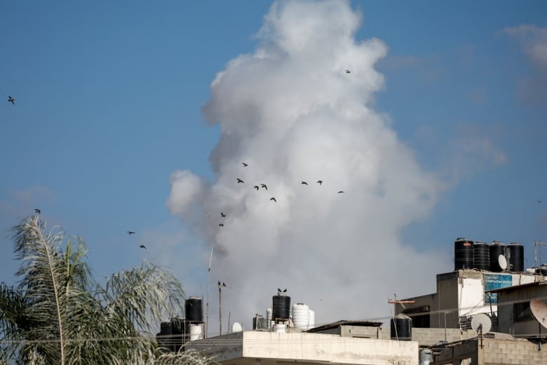 Birds fly after an explosion in Nour Shams camp in Tulkarm, in the Israeli-occupied West Bank, August 29, 2024. 