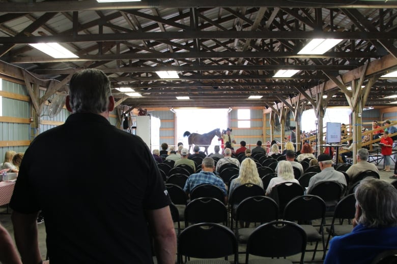 Seated people in a barn look at a horse standing at the front of the barn.