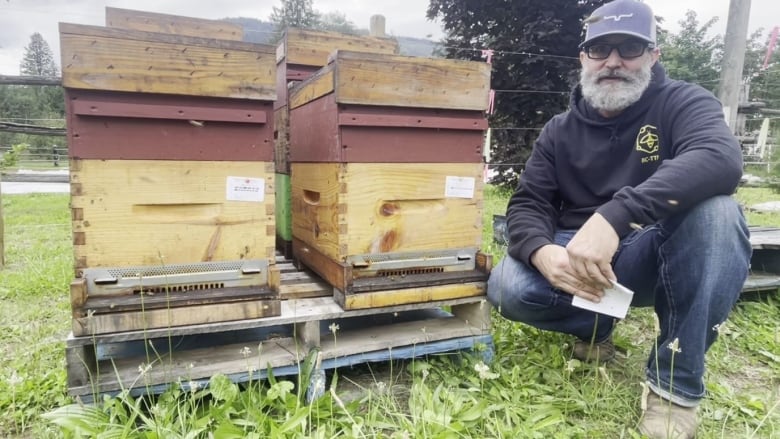 A bearded man in a cap, wearing a hoodie and jeans crouches down beside a couple crates of bee hives.