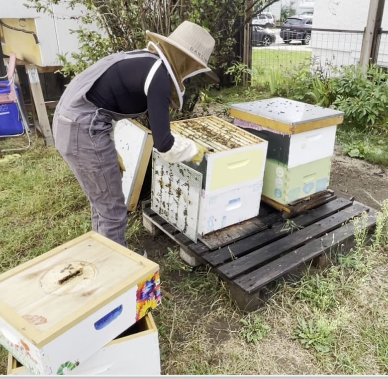 A beekeeper in her attire tending beehives.