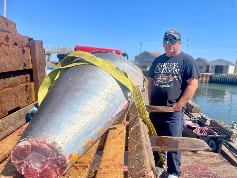 Tuna fisher Glen Doucette stands behind his latest 340 pound catch off P.E.I.'s north shore.