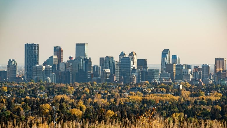 A city of several tall buildings stand tall beyond a vast forest of trees with green and yellow leaves.