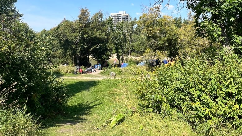 Tents of a homeless encampment are seen in a park