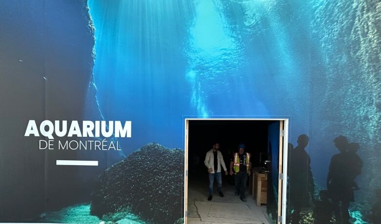 aquarium