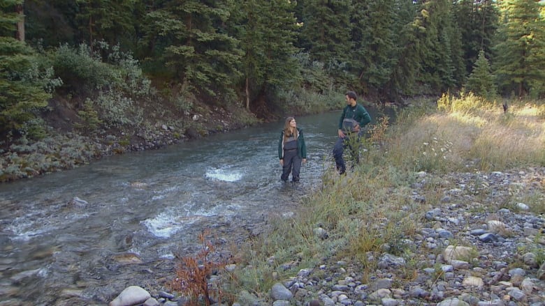 A man and a woman wearing a green top and navy blue pants stand in a flowing creek surrounded by rocks and green foliage.