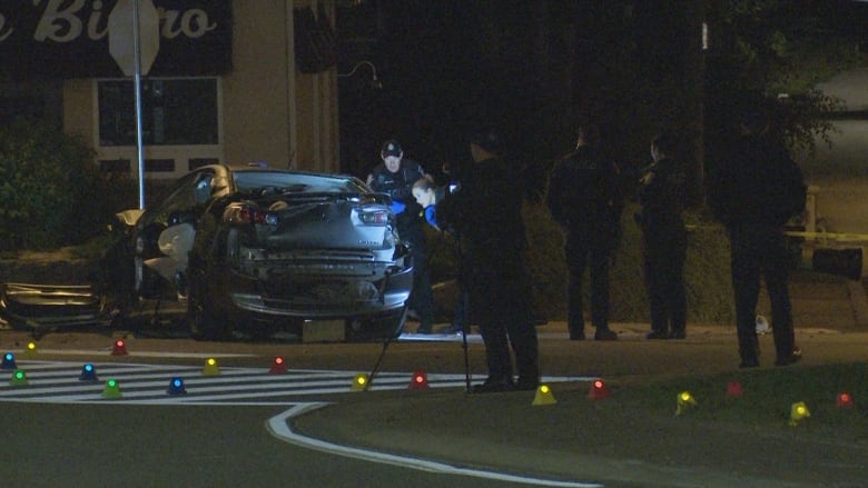 Halton police investigate after a crash in Burlington early Thursday morning killed two people and a dog.