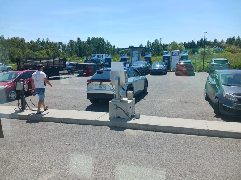 EVs charging in a parking lot