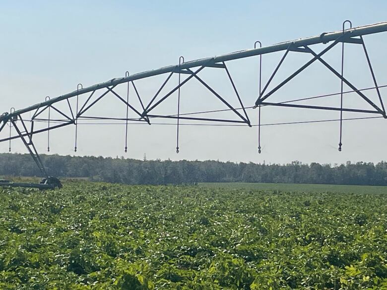 A large machine that sprays water on potatoes 