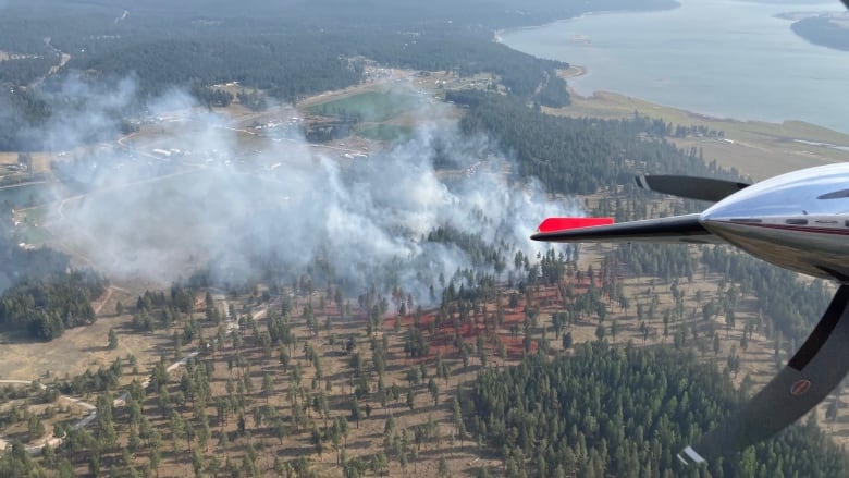 An aerial picture of smoke arising from a sparse forest near a lake.