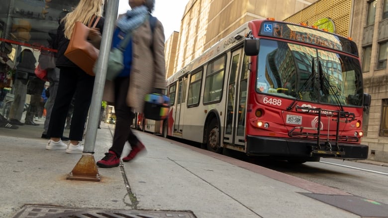 A red and white public transit bus on a city street in late summer.