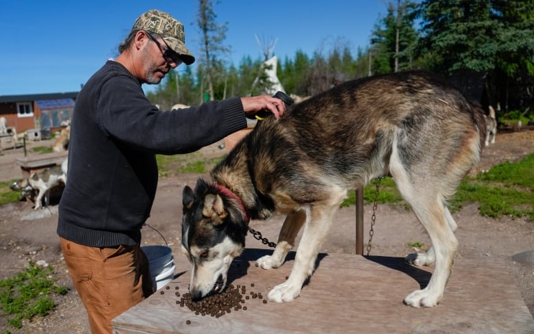 A man pets a dog