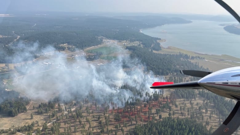 A jet above a fire in a sparse forest.