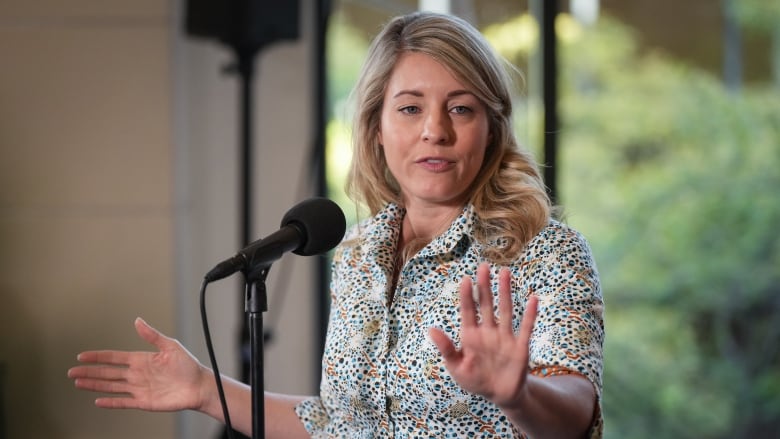 A stately, blonde-haired woman stands at a microphone taking questions from reporters. Her hands, open palmed, are motioning in a wipe-away motion.