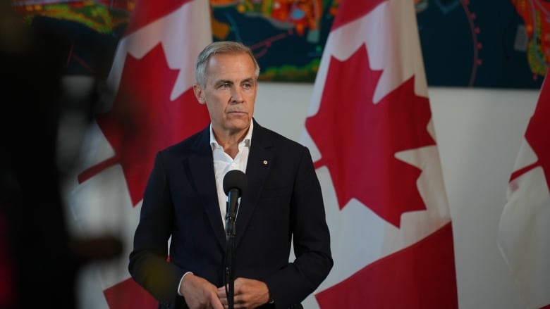 A man in a dark suit and white shirt stands in front of Canadian flags.