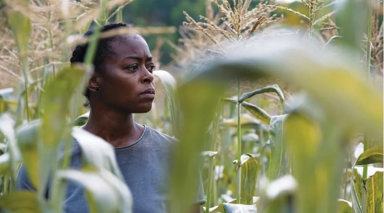 An Black woman in a field.