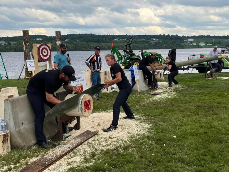 Two teams of two using a large saw to cut through a circular block of wood