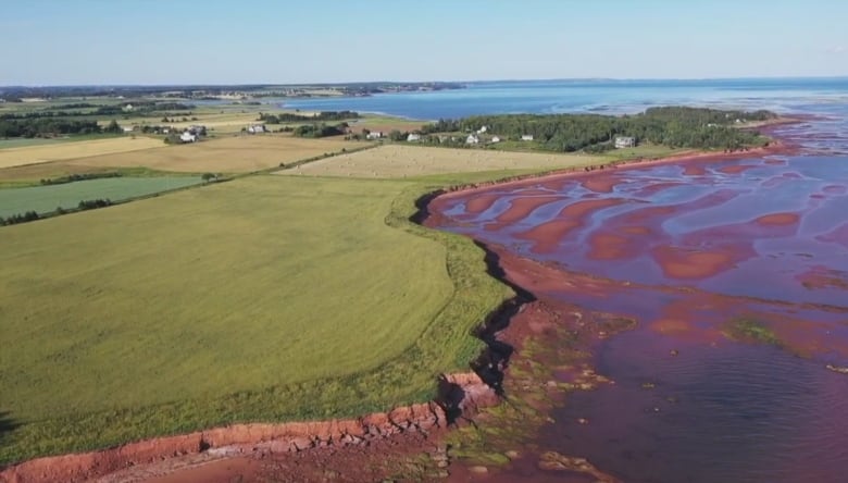 This screen shot -  taken from a Coldwell Banker Parker Realty video advertising the land - shows 44-acres of waterfront farmland in Rice Point. 