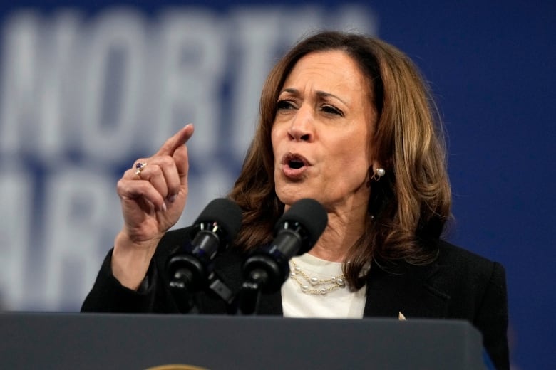 Democratic presidential nominee Vice President Kamala Harris speaks during a campaign event, Thursday, Sept. 12, 2024, in Greensboro, N.C. (AP Photo/Chris Carlson)