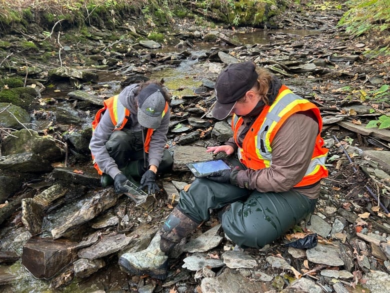 Two women sitting on rocks in stream