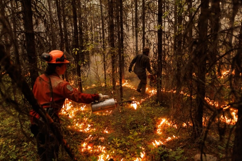 A firefighter uses a flame torch to light an area in a wood, with another visible in the background.