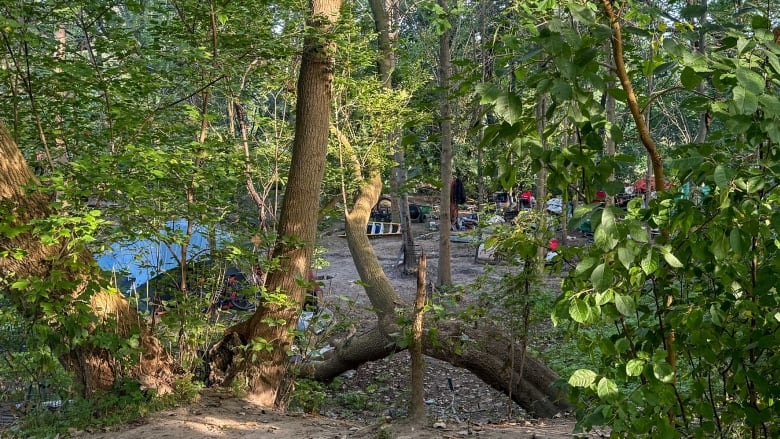 Tents can been seen where people are living rough along the Thames Valley Parkway in London, Ont.