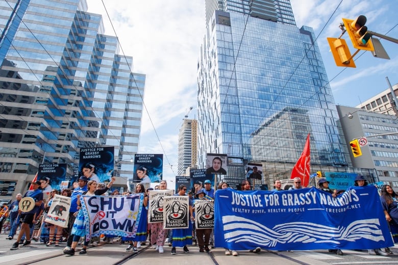 A large crowd of people carrying signs and banners is seen on the street of an urban setting.