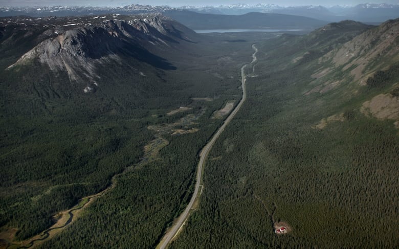 Environmental advocates say protecting the Boreal forest is crucial to preserve its ability to act as a carbon sink and as a habitat for biodiversity.