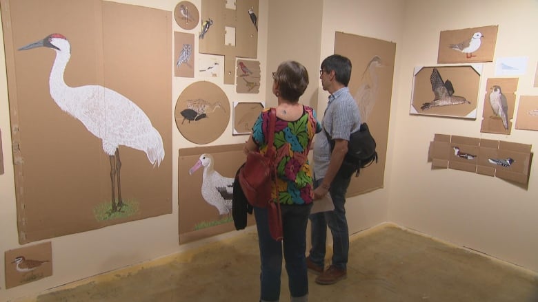 Man and a woman looking at artwork of various birds