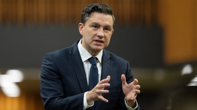 Conservative Leader Pierre Poilievre speaks about an opposition motion in the House of Commons, Tuesday, Sept.24, 2024 in Ottawa.