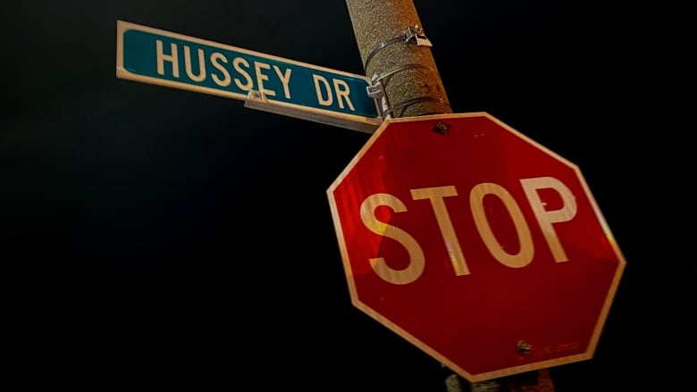 A red stop sign with a street sign above it that says Hussey Drive.