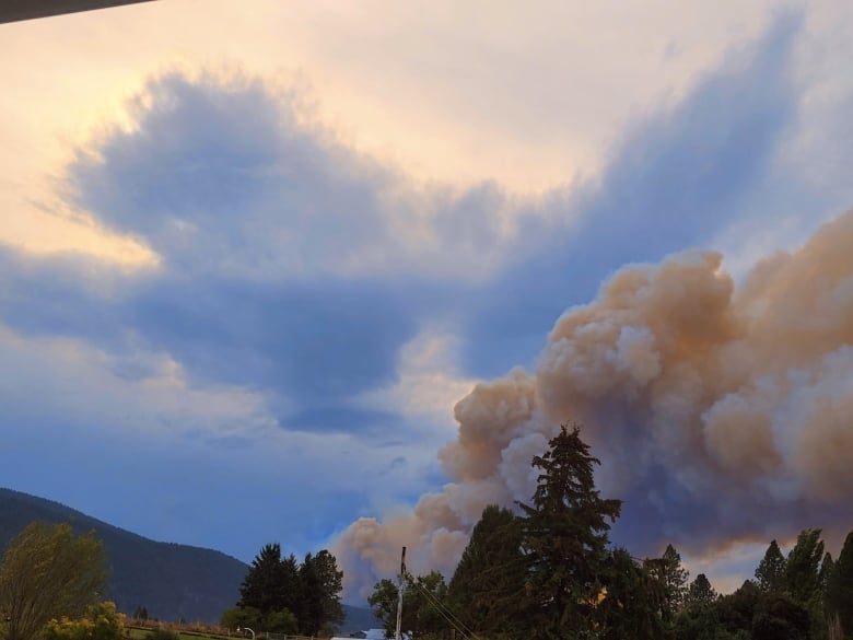 Large plumes of smoke are seen behind a tree line.