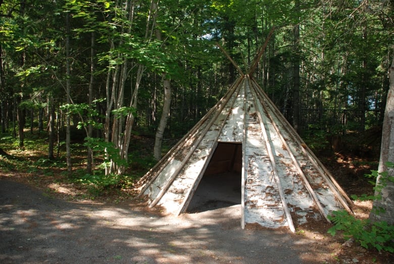 A wigwam in the woods along a path