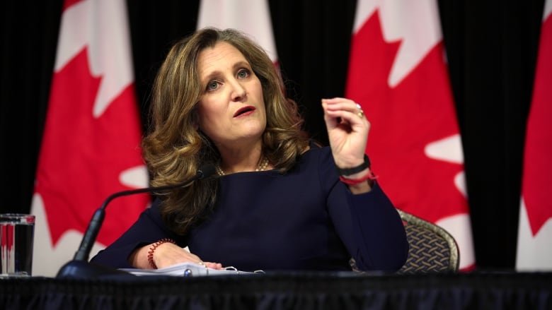 Deputy Prime Minister and Finance Minister Chrystia Freeland is seen speaking to media. 