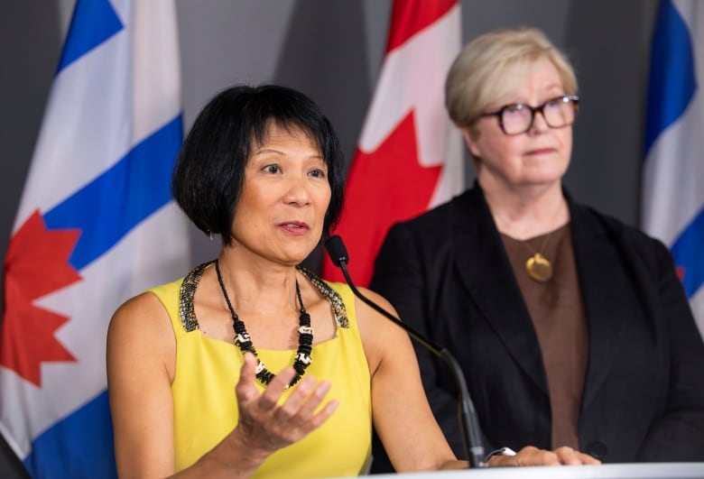 Toronto Mayor Olivia Chow speaks to reporters at city hall.