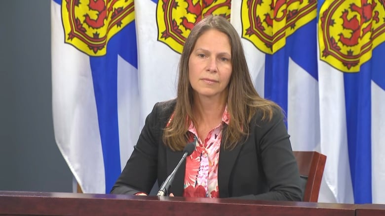 A woman sits in front of a microphone. She has long brown hair. She wears a black blazer and pink blouse. She is sitting in front of four Nova Scotia flags. 