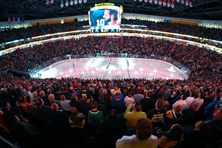 Hockey crowd in stadium