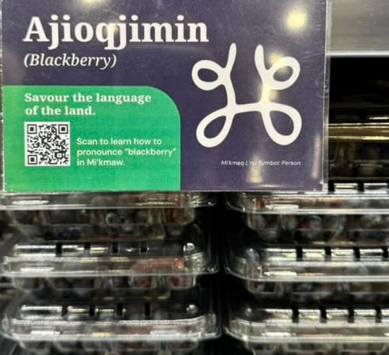 blackberries with mikmaq translation poster next to them