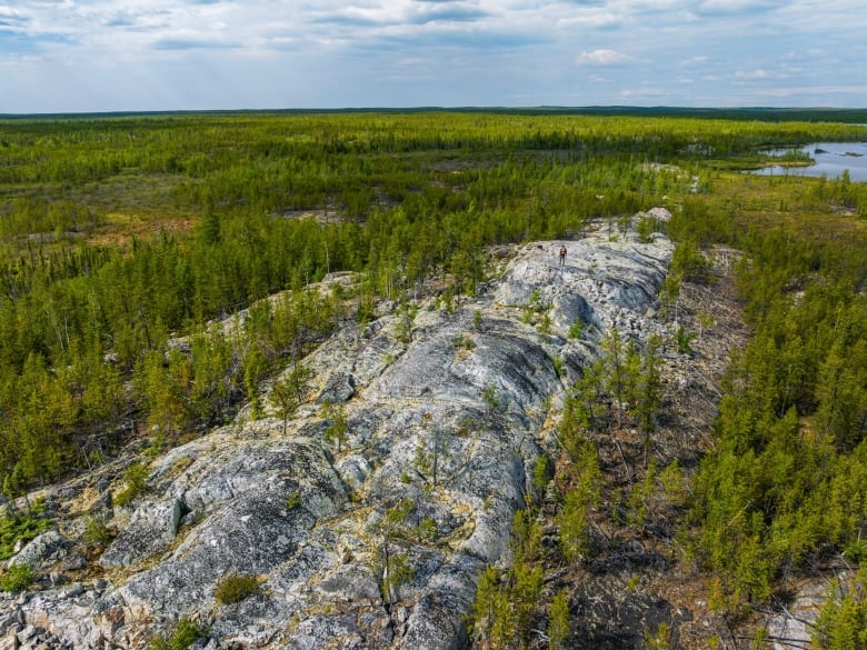 Big pegmatite rock with sky and trees surrounding it