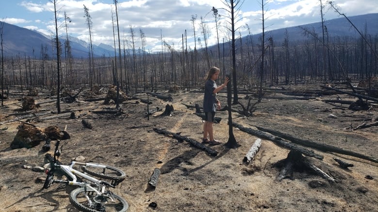 A boy touches a burned tree. 