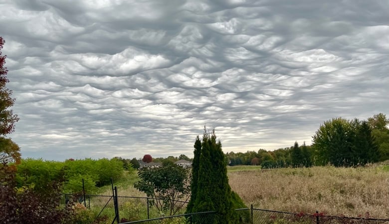 A large field surrounded by trees in early fall. The cloud is full of churning clouds.