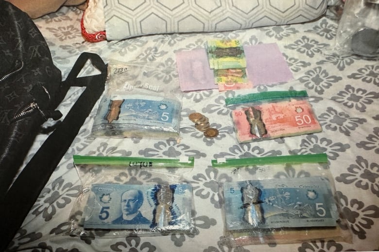 Several ziploc bags with various bills spread out on a printed sheet. 