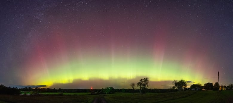 The sky is seen with green and red lights stretching upward with trees in the foreground.