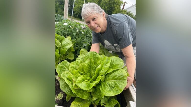 A woman leaning over some lettuce in a garden.