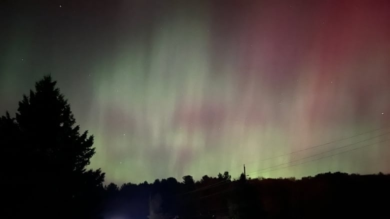 The Northern Lights streak green across the sky above a rural road surrounded by silhouetted trees. A car with its headlights on drives in the distance