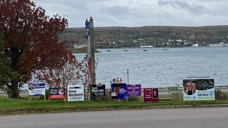 A row of election signs along a waterfront road 